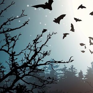 Meet your Posher, Raf